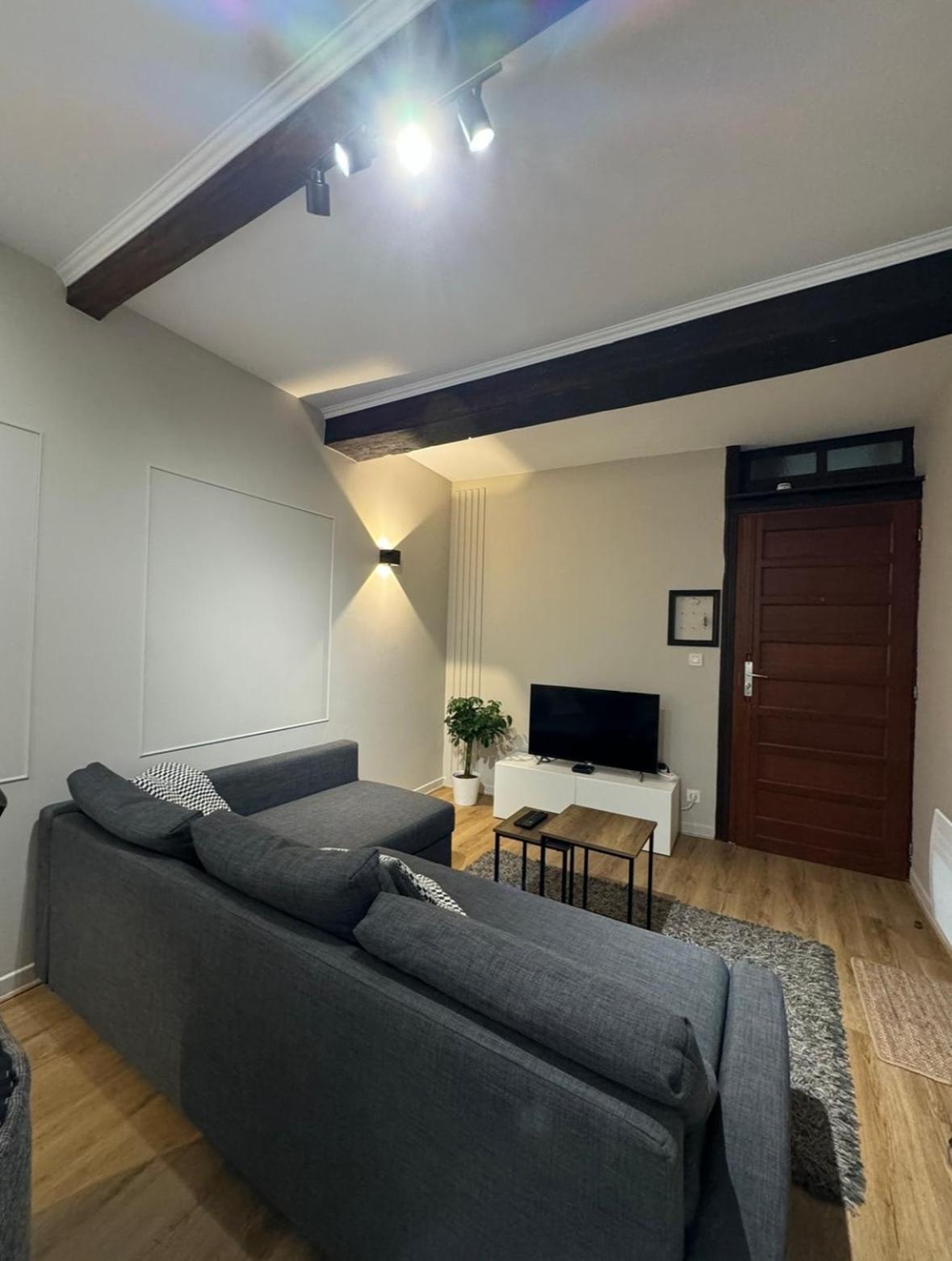 Appartement Charmant Hypercentre Avec Patio Prive Et Parking Orleans Bagian luar foto