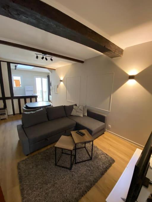 Appartement Charmant Hypercentre Avec Patio Prive Et Parking Orleans Bagian luar foto